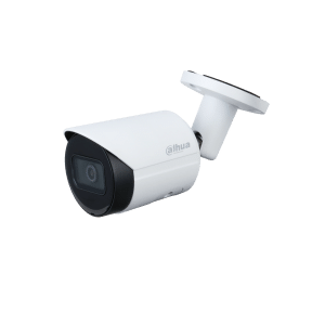 Homedezh-DH-IPC-HFW2230SP