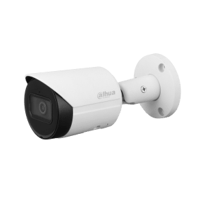 Homedezh-DH-IPC-HFW2441SP-S