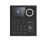 Homedezh-DS-K1T320EFWX