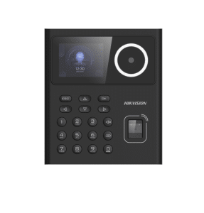 Homedezh-DS-K1T320EFWX
