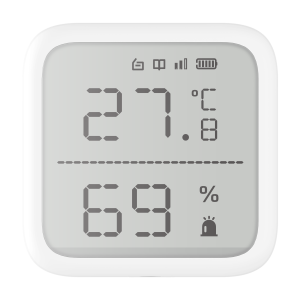 Homedezh-DS-PDTPH-E-WB