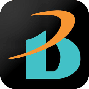 briton cctv pro
